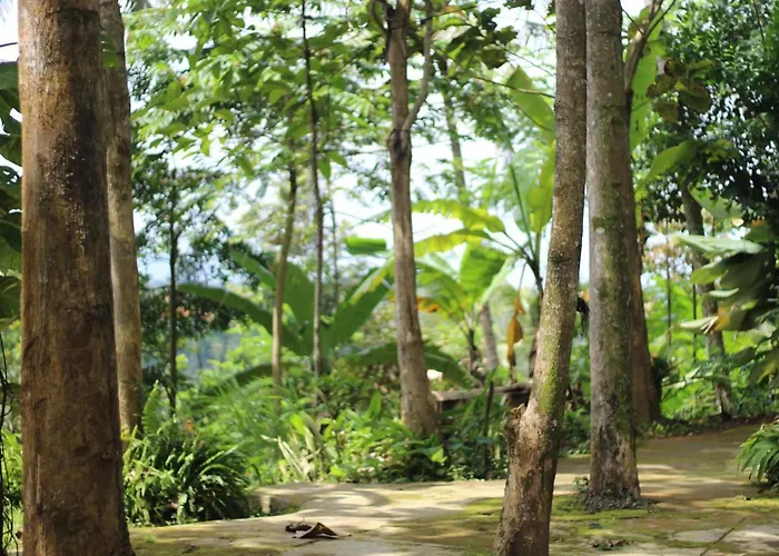 Yoga Lokanata Ashram & Arnata * Bangli